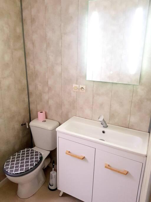 Le Jeanne 4/6 Couchages, Wifi, Sanctuaire Apartment Lourdes Exterior foto